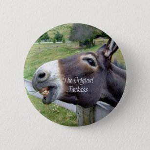 Badge Rond 5 Cm L'animal de ferme drôle de mule d'âne d'âne