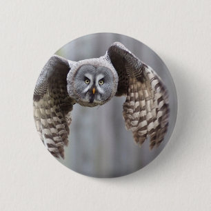 Badge Rond 5 Cm l'animal de vol de hibou fait varier le pas des