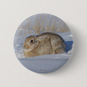 Badge Rond 5 Cm Lapin Cottontail R5 dans la neige