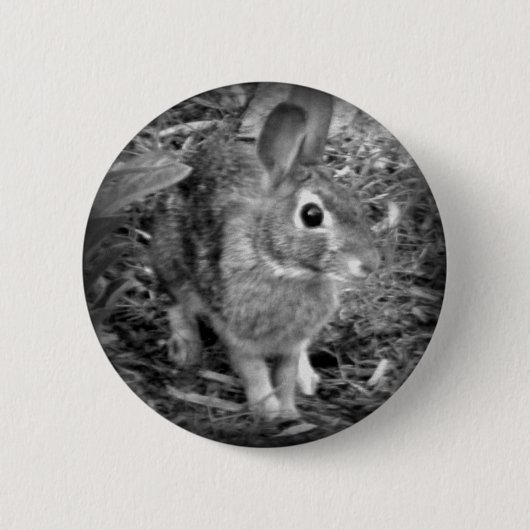Badge Rond 5 Cm Lapin de Peter (Devant)