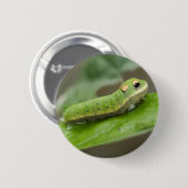 Badge Rond 5 Cm Larva de la chenille papillon (Devant & derrière)