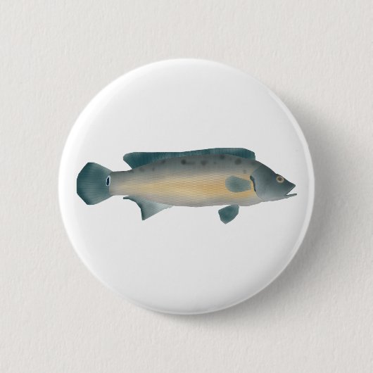 Badge Rond 5 Cm Lateral Striped Pike Cichlid (Devant)