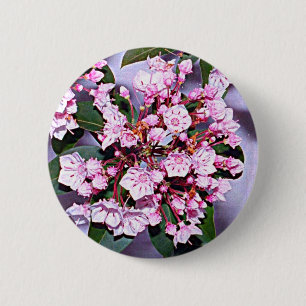 Badge Rond 5 Cm Laurel du Connecticut