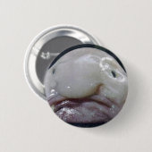 Badge Rond 5 Cm Le Blobfish (Devant & derrière)