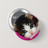 Badge Rond 5 Cm Le chaton le plus mignon des mondes (Devant & derrière)