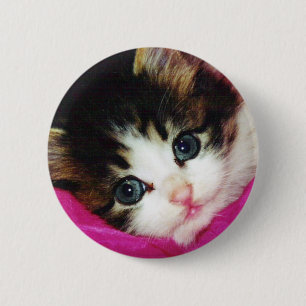 Badge Rond 5 Cm Le chaton le plus mignon des mondes