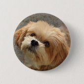 Badge Rond 5 Cm Le chien de Lhassa Apso dans le jardin (Devant)