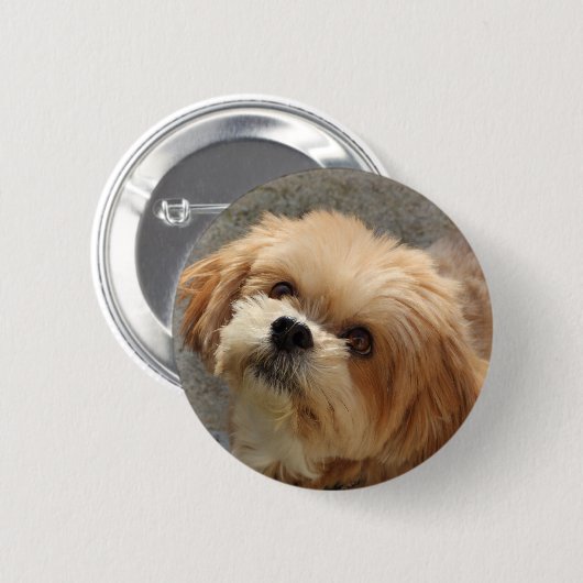 Badge Rond 5 Cm Le chien de Lhassa Apso dans le jardin (Devant & derrière)