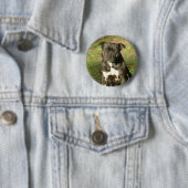 Badge Rond 5 Cm Le chien multiplie Staffy (En situation)