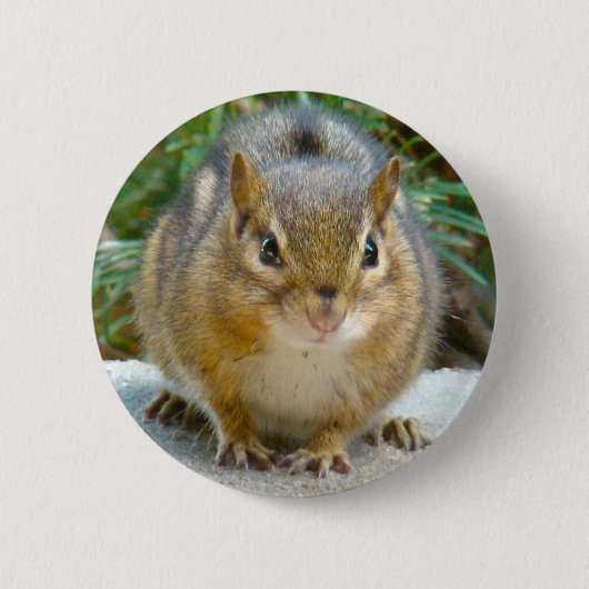 Badge Rond 5 Cm Le Cute Chipmunk A L'Oeil Sur Vous (Devant)
