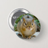 Badge Rond 5 Cm Le Cute Chipmunk A L'Oeil Sur Vous (Devant & derrière)