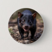 Badge Rond 5 Cm Le diable de Tasmanie australien sauvage, (Devant)