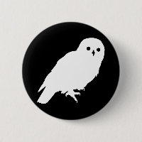 Le meilleur amant de hibou des prix