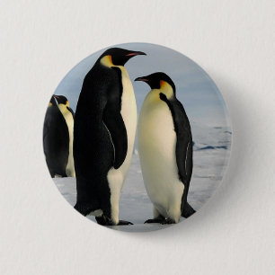 Badge Rond 5 Cm le pingouin-dunette-de-externe-espace