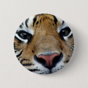 Badge Rond 5 Cm Le tigre observe le bouton