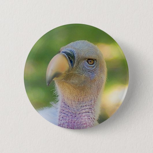 Badge Rond 5 Cm Le vautour Griffon de Rupell (Devant)