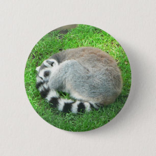 Badge Rond 5 Cm Lémur de sommeil sur l'herbe