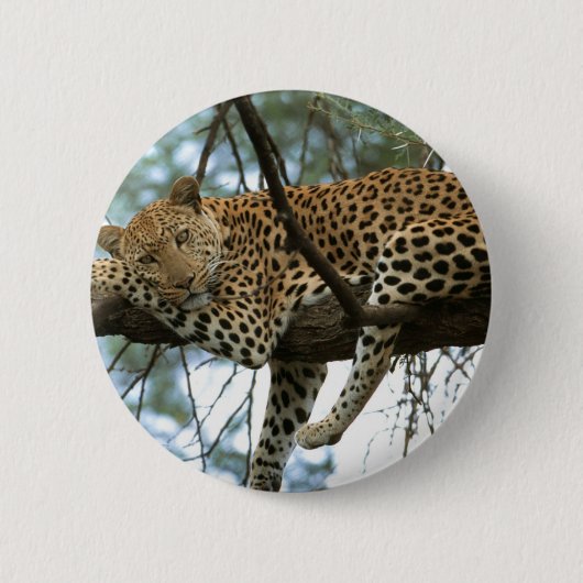 Badge Rond 5 Cm Léopard posé dans l'arbre (Devant)