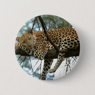 Badge Rond 5 Cm Léopard posé dans l'arbre