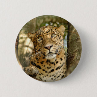 Badge Rond 5 Cm LeopardCheetaro013