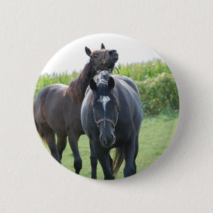 Badge Rond 5 Cm Les amateurs de chevaux