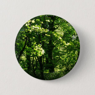 Badge Rond 5 Cm Les arbres au printemps. Bute Park, Cardiff. Pays