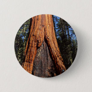 Badge Rond 5 Cm Les arbres Giants de séquoias brûlé écorcent