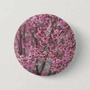 Badge Rond 5 Cm Les fleurs de cerisiers Sakura sont roses