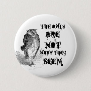 Badge Rond 5 Cm Les hiboux ne sont pas ce qui semblent ils