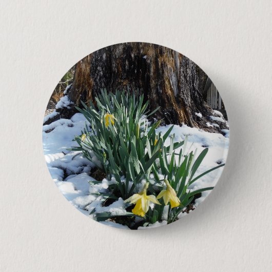 Badge Rond 5 Cm Les jonquilles jaunes dans la neige (Devant)