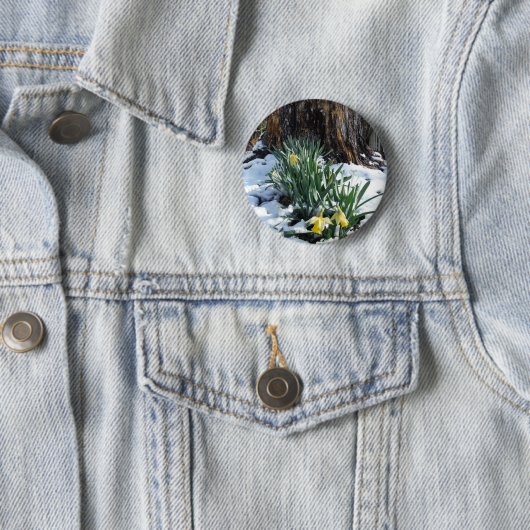 Badge Rond 5 Cm Les jonquilles jaunes dans la neige (En situation)