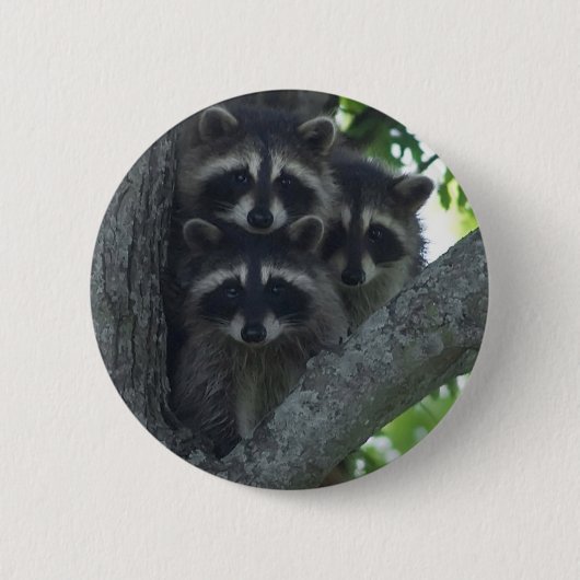 Badge Rond 5 Cm Les trois amis (Devant)