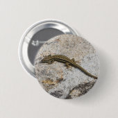 Badge Rond 5 Cm Lézard commun (Devant & derrière)
