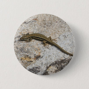 Badge Rond 5 Cm Lézard commun