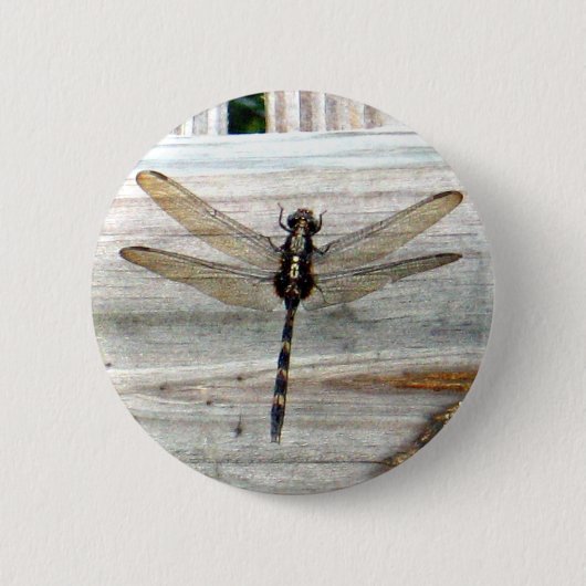 Badge Rond 5 Cm Libellule (Devant)