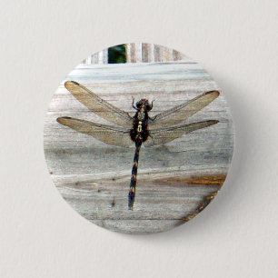 Badge Rond 5 Cm Libellule