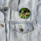 Badge Rond 5 Cm libellule avec fleurs blanches (En situation)