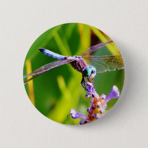 Badge Rond 5 Cm Libellule turquoise et pourpre