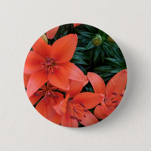 Badge Rond 5 Cm Lily orange (Devant)