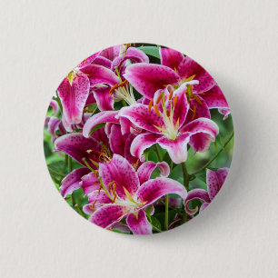 Badge Rond 5 Cm Lis d'astronome
