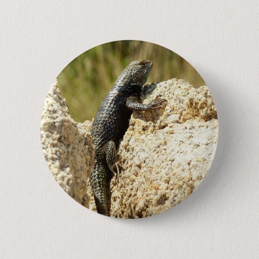 Badge Rond 5 Cm Lizard d'épinette à dos jaune à Joshua Tree (Devant)