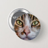 Badge Rond 5 Cm Long Haied Tabby Chat Fermer Portrait (Devant & derrière)