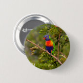 Badge Rond 5 Cm Lorikee arc-en-ciel (Devant & derrière)