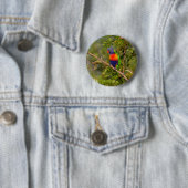 Badge Rond 5 Cm Lorikee arc-en-ciel (En situation)