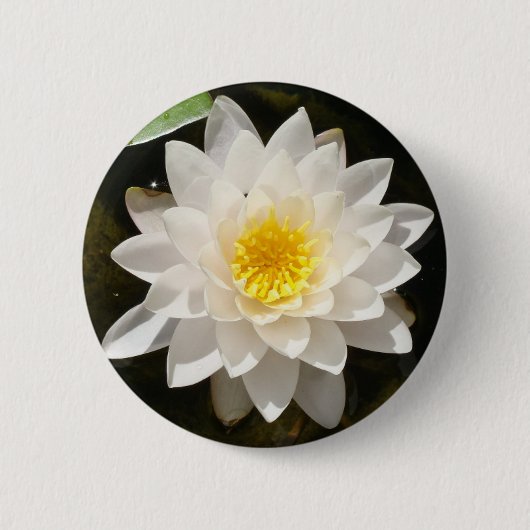 Badge Rond 5 Cm Lotus Nymphéa Flottant (Devant)