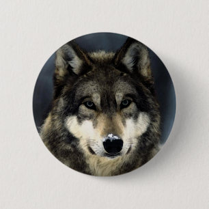 Badge Rond 5 Cm Loup