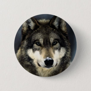 Badge Rond 5 Cm Loup