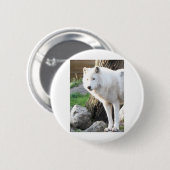 BADGE ROND 5 CM LOUP ARTIC (Devant & derrière)