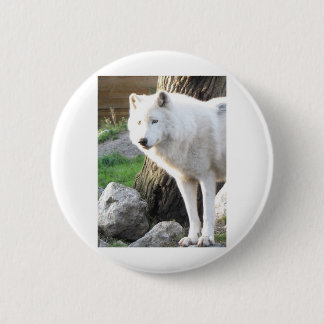 BADGE ROND 5 CM LOUP ARTIC