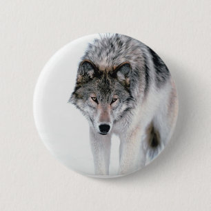 Badge Rond 5 Cm Loup de vagabondage